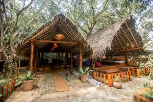 una casa con techo de paja y algunas plantas en INN On The Tree Eco Resort Sigiriya, en Sigiriya