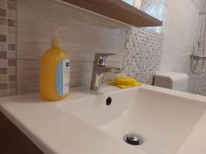 a bottle of soap sitting on a bathroom sink at Apartment in Njivice/Insel Krk 33552 in Njivice