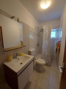 a bathroom with a sink and a toilet and a shower at Apartment in Njivice/Insel Krk 33552 in Njivice