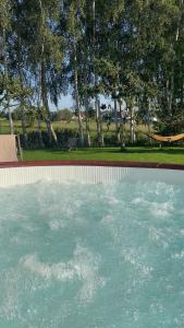 Swimmingpoolen hos eller tæt på Villa Betula