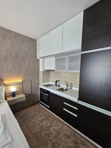 uma cozinha com um lavatório e uma cama num quarto em AGAPE Apartment em Podgorica