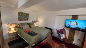 1 dormitorio con 1 cama y TV de pantalla plana en LE MOULIN DE NAVETTE - La Meule en Aigueblanche