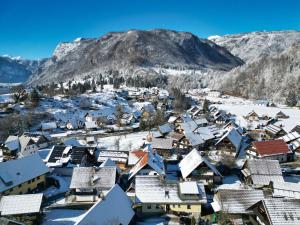 a village covered in snow with a mountain in the background at Apartmaji JOŠT in Bohinj
