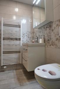 a bathroom with a toilet and a sink at Apartmaji JOŠT in Bohinj