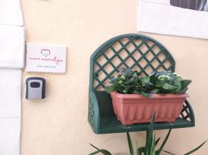 a plant in a flower pot on a wall at Cuore e Mare Ortigia in Syracuse