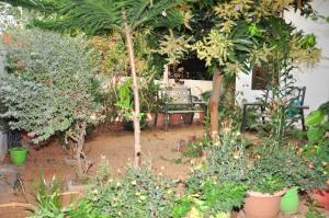 un jardín con mesa, sillas y plantas en Kelly's Cottages 