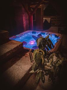 a toy cactus sitting next to a swimming pool at Rönkház Noszvaj in Noszvaj