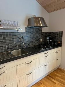 uma cozinha com um lavatório e um fogão em Semesterhus med spabad & bastu em Söderköping