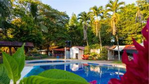 una piscina frente a un complejo con árboles en Hotel y restaurante LA CACHAMERA, en Granada