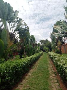 Jardín al aire libre en Auberge Nofiko