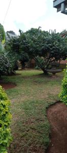 Jardín al aire libre en Auberge Nofiko