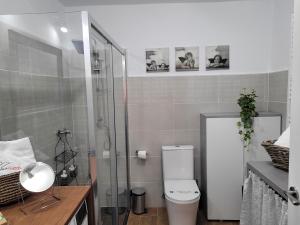 ein Bad mit einem WC und einer Glasdusche in der Unterkunft VILLA PEDRAZA ll in Rades de Abajo