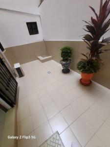 an empty room with two potted plants on the floor at Paradis Appartement in Ngor