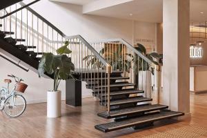 a staircase in a house with a potted plant at Hotel Alba Adelaide in Adelaide