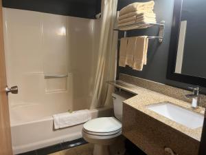 Bilik mandi di Regency Inn & Suites