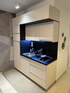 Bright Harmony Apartment close to downtown 1082 Budapest, 6 Corvin sétány kép - 2