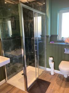 a bathroom with a glass shower with a toilet at Skyefall Self Catering in Uig