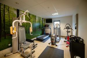 Fitness centrum a/nebo fitness zařízení v ubytování Hotel-Restaurant Horizon Ath-Lessines