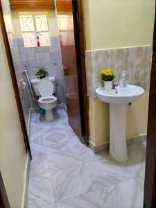 bagno con servizi igienici e lavandino di Naivasha TownHouse a Naivasha