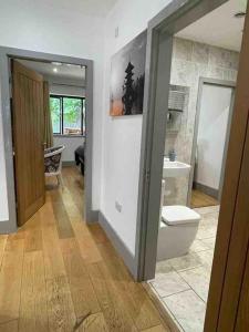 uma casa de banho com um WC e um lavatório em Hendrix’s cottage em Lincoln