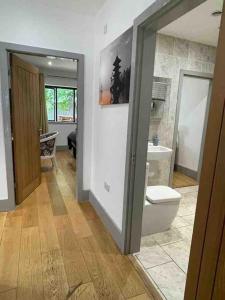 ein Badezimmer mit Toilette und Waschbecken in der Unterkunft Hendrix’s cottage in Lincoln + 26 Fotos