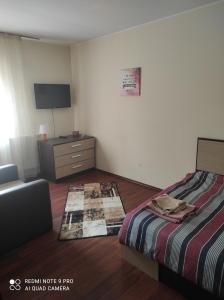 1 dormitorio con 1 cama, vestidor y TV en Vila Maria, en Buşteni