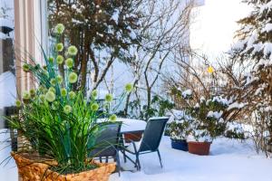a table and chairs and plants in the snow at Appartement Sels in Winterberg