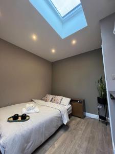 盧頓的住宿－Modern Garden Studio for comfy stay，一间卧室配有一张带天窗的大床