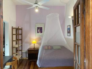 Lina's Tango Guesthouse في بوينس آيرس: غرفة نوم بسرير مع ناموسية