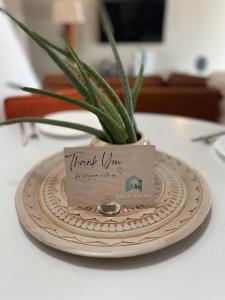 a potted plant sitting on a plate on a table at 2 Bedrooms - Rock Palma Apartments in Noord