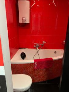 Ένα μπάνιο στο Apartament Brzozowa