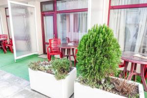 Κήπος έξω από το Hotel Acropolis +109 φωτογραφίες