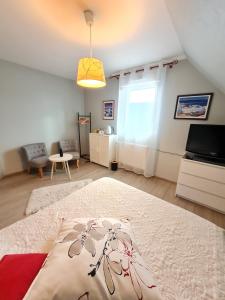TV a/nebo společenská místnost v ubytování La Maison De Roméo
