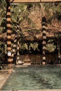 a swimming pool with two palm trees and chairs at Kohylia by La Scala Beach in Limenas