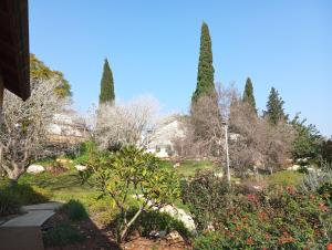 a garden with three tall trees in the background at Lakeview Chalet in the Galilee - Master Bedroom Sublet in Kafr Mandā