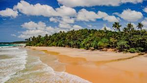 una playa con un montón de palmeras y el océano en Beach House Kalukatiya - Family Villa, Seaview Room, Garden Room, en Dikwella