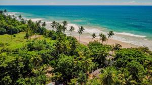 an aerial view of a beach with palm trees and the ocean at Beach House Kalukatiya - Family Villa, Seaview Room, Garden Room in Dickwella