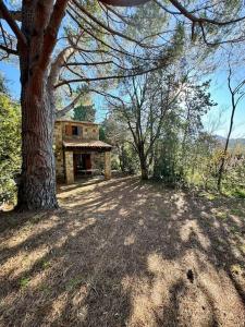 een huis in het midden van een veld met een boom bij Villa Marie-Diane F4 in Propriano