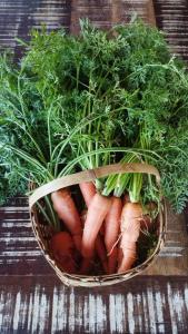 a basket of carrots and greens on a table at Pousada Flor do Rio in Caraíva
