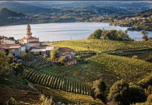 an aerial view of a vineyard with a church and water at CASA DO AVÒ in Castrelo de Miño