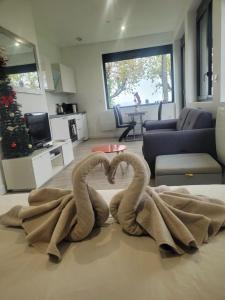 two towel snakes laying on the floor of a living room at Appartement Cozy 1 Panoramique Lac Léman Thonon-Les-Bains in Thonon-les-Bains