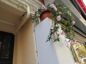 a flower pot on the side of a building at Emin Cami Sokak No13 in Istanbul