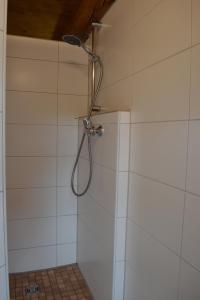 a shower with a shower head in a bathroom at Ferienhaus Felicia in Ravensburg