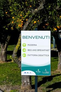 un panneau devant un oranger dans l'établissement DON PEPPE ROOMS : Villaggio Green, à SantʼAngelo in Formis