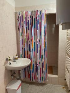 un bagno con tenda da doccia e lavandino di Ubytování na venkově Církvice a Zásmuky