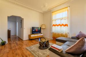 un soggiorno con divano e TV di Wifi Netflix free parking Gruben Apartment a Schaffhausen