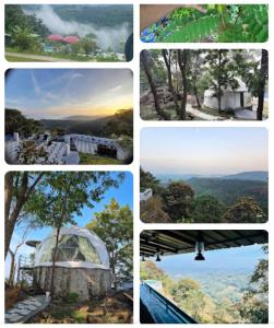 un collage de fotos de diferentes vistas a los árboles en LemonGrass Hill by Triospyr, en Thodupuzha