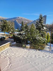 a snow covered sidewalk with trees and buildings in the background at Ośrodek Uzdrowiskowy Malwa in Ustroń