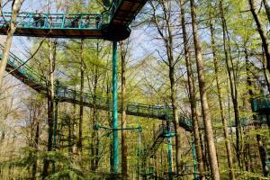 een achtbaan midden tussen de bomen bij Camping Het Horstmannsbos in Gasselte