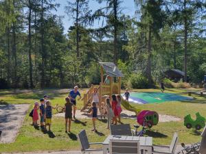 een groep kinderen die spelen in een speeltuin bij Camping Het Horstmannsbos in Gasselte